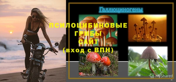 гидропоника Волосово